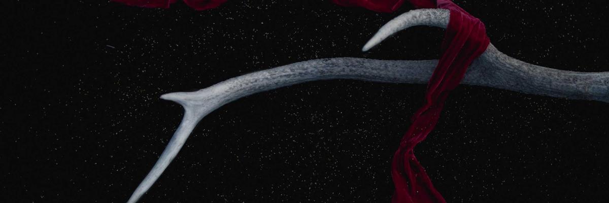 สไลด์ตัวอย่างที่ 1 — แก้ไขได้จาก Admin → สไลด์